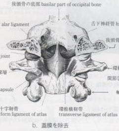 因子の一部