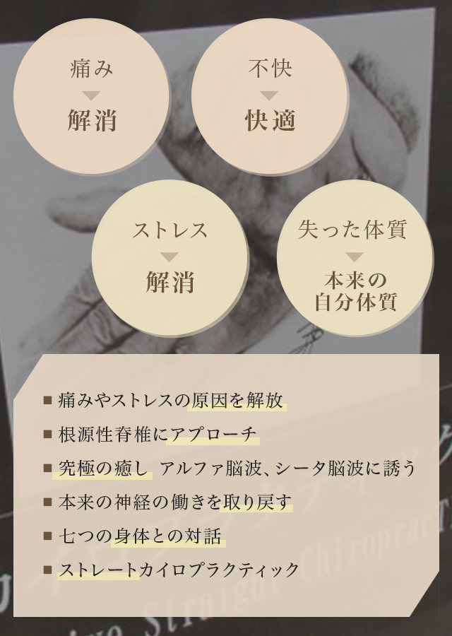 ツクダカイロプラクティック
